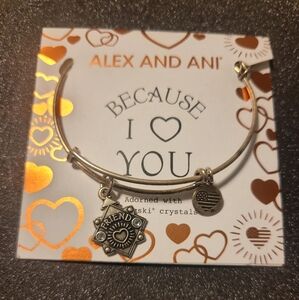 Alex and Ani Because I Love you Friend Silver Charm Bracelet #a74